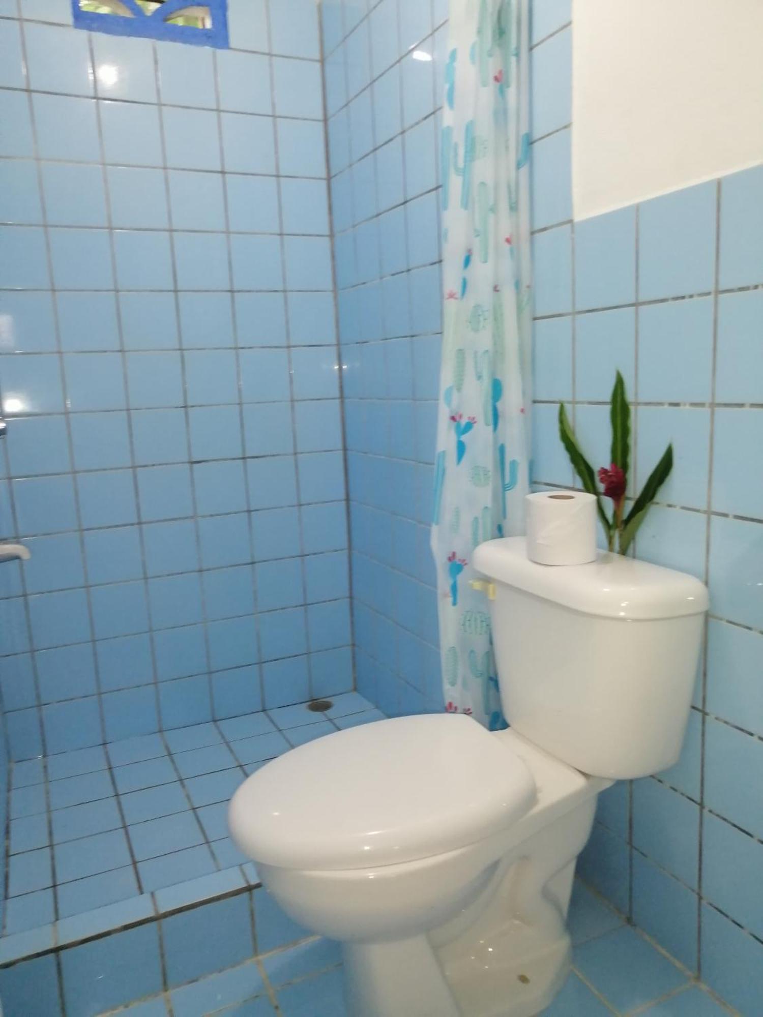Rooms Palmeras カウイータ エクステリア 写真